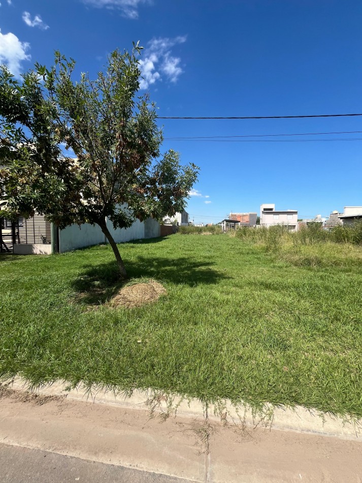 terreno Granadero Baigorria
