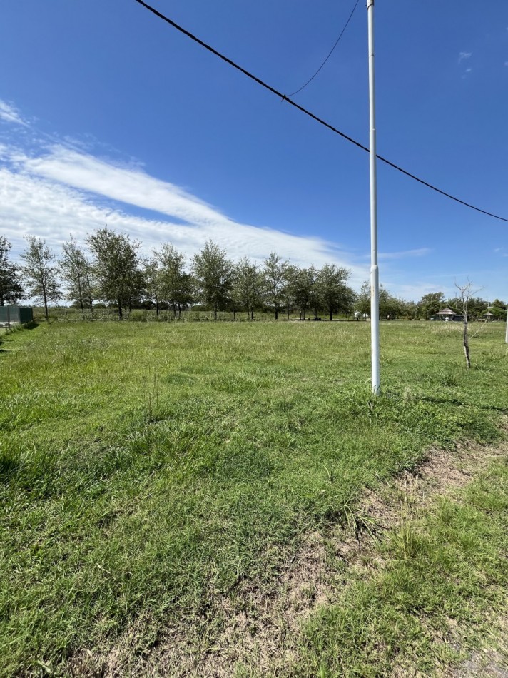 OPORTUNIDAD terreno Oliveros